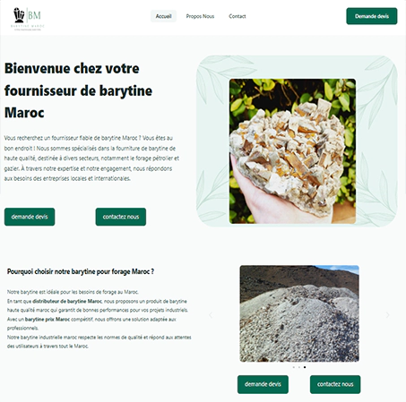 site internet fes exemple